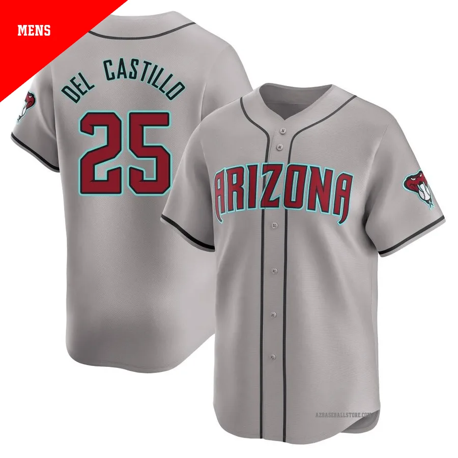 Men's Adrian Del Castillo Arizona Diamondbacks ＃25 Gray Limited - Away Jersey