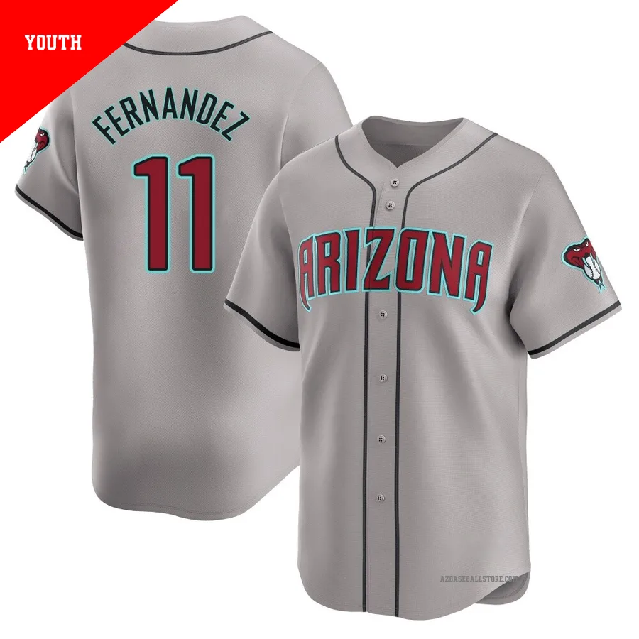 Youth Jose Fernandez Arizona Diamondbacks ＃11 Gray Limited - Away Jersey